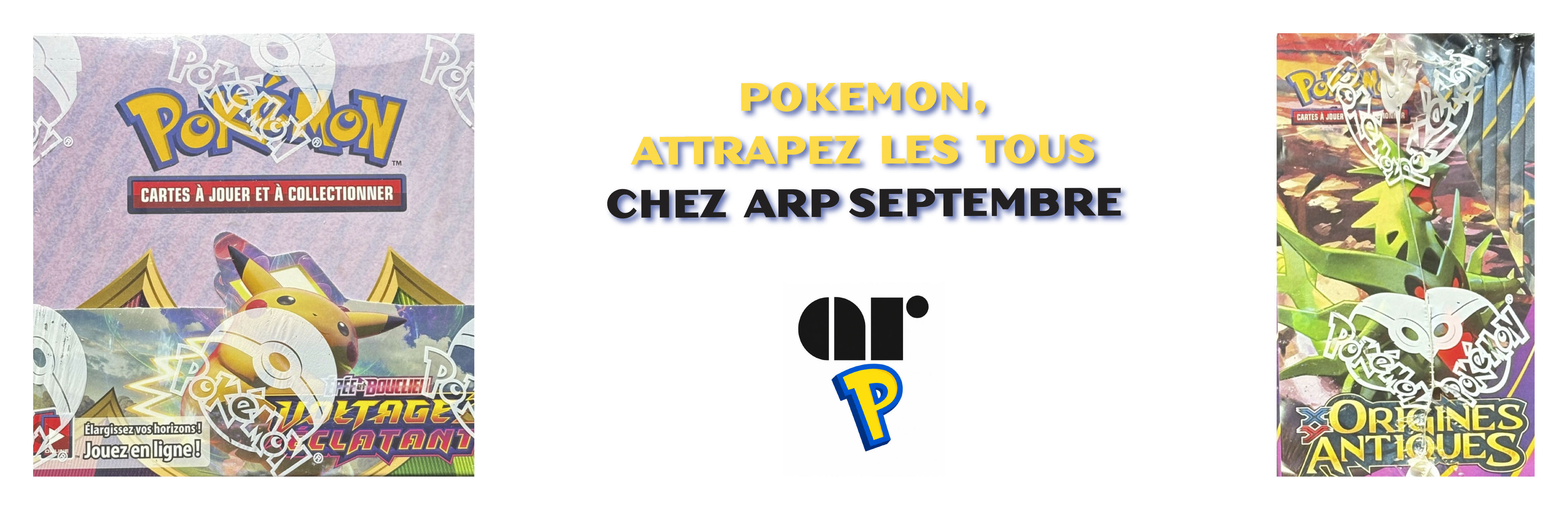 POKEMON, Attrapez les tous